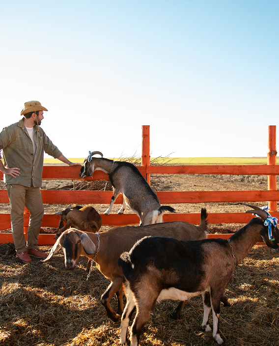 Alojamiento rural